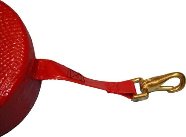 Close-Up of Brass Snaphook