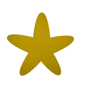 Chuck the Starfish 16" Foam Mat | Foam Mats & Swim Aids | Aquamentor